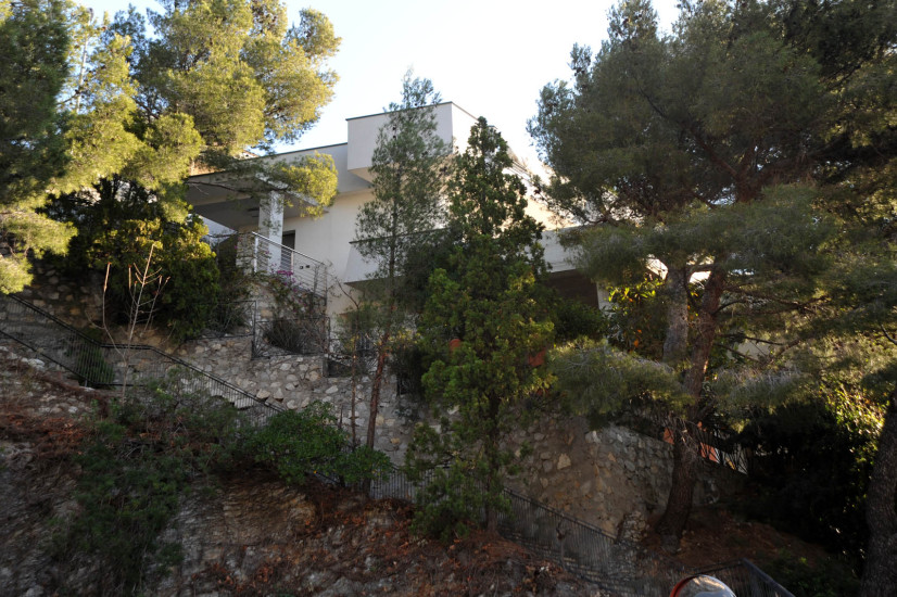 imm50